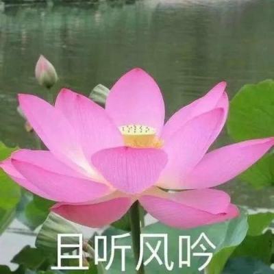 国网山东省电力公司枣庄供电公司：“四三实践”打造国企高质量党建